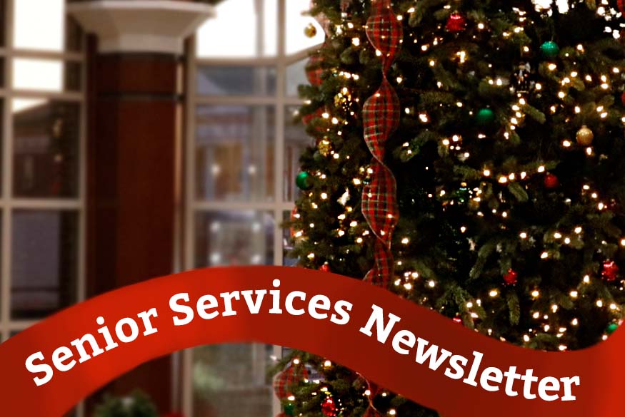 Christmas Vacation Forsyth County Ga 2022 Forsyth County Government News | Senior Services' Newsletter Now Available  For November And December