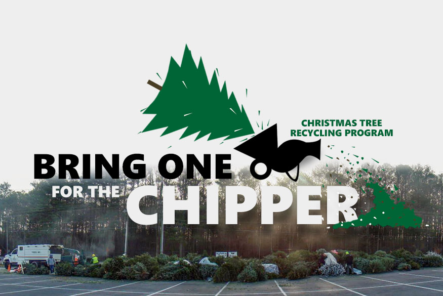 Christmas Vacation Forsyth County Ga 2022 Forsyth County Government News | Keep Forsyth County Beautiful Invites  Residents To Recycle Their Christmas Tree After The Holidays
