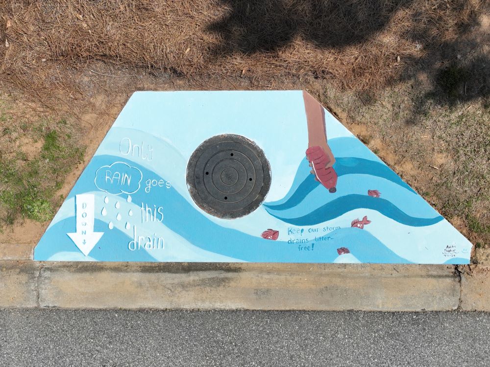 Storm drain painted by Aditri Thakur