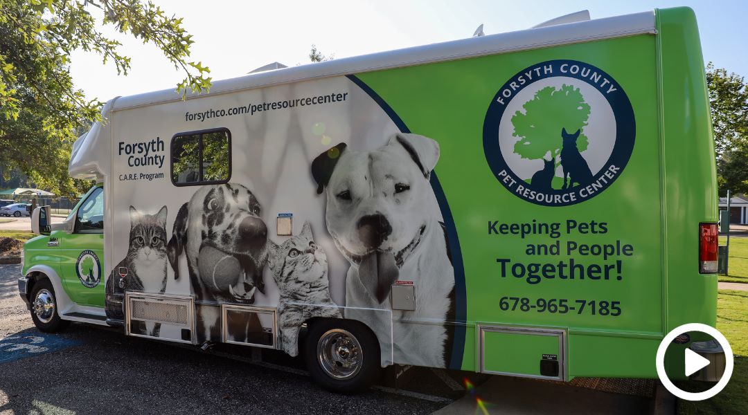 Pet resource online center intake