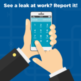 falw-report-leak-social-post